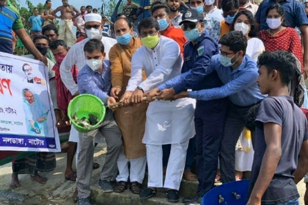 নলডাঙ্গায় মাছের পোনা অবমুক্তকরণ
