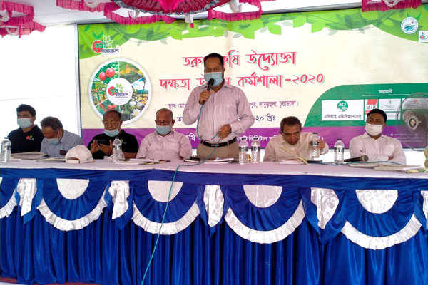 চুয়াডাঙ্গায় দক্ষতা উন্নয়ন কর্মশালা অনুষ্ঠিত