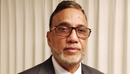 শকুনের সংখ্যা বাড়াতে কাজ করছে সরকার