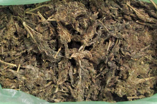 আদমদীঘিতে গাঁজাসহ দুই হোটেল কর্মচারী আটক