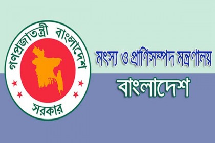 মৎস্যজীবীদের জন্য আরও ৪৩৯ মেট্রিক টন চাল বরাদ্দ