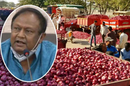 পিঁয়াজের দাম মনিটরিং জোরদার করা হচ্ছে : বাণিজ্যমন্ত্রী