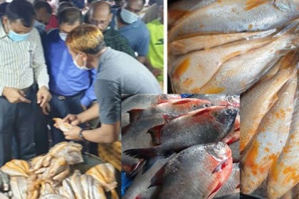 রূপচাঁদার নামে বিষাক্ত পিরানহা বিক্রি, কারওয়ান বাজার আড়তে র‌্যাবের অভিযান