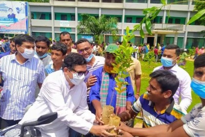 জলবায়ু পরিবর্তনে বৃক্ষরোপণে গুরুত্ব দিয়েছে সরকার: পলক 