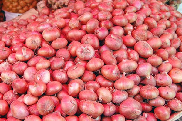 একদিনের ব্যবধানেই সেঞ্চুরি ছাড়াল পিয়াজ