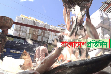 ১৪ অক্টোবর থেকে ২২ দিন ইলিশ ধরা নিষিদ্ধ