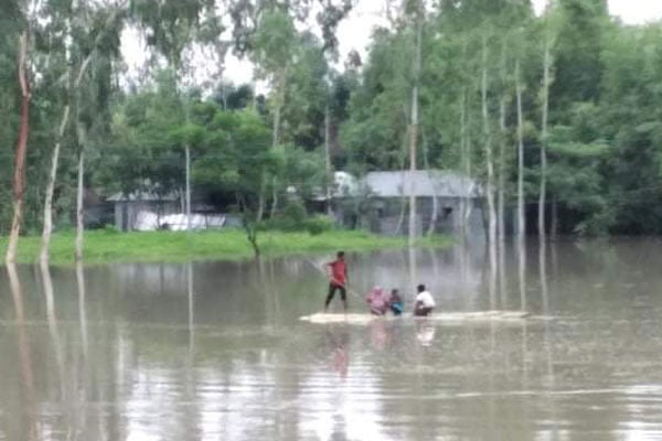 টানা বর্ষণে লালমনিরহাটে ডুবে গেছে ফসলি জমি 

