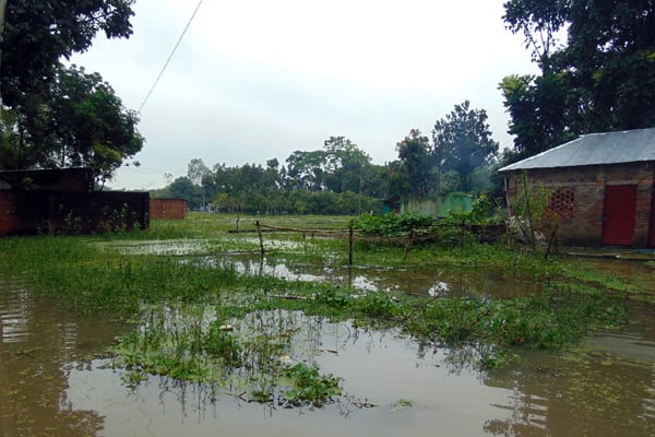 টানা বর্ষণে দিনাজপুরে জলাবদ্ধতা, দুর্ভোগ