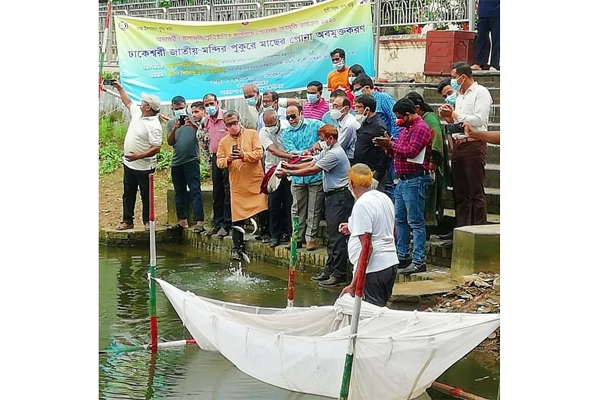 জগন্নাথ হল-ঢাকেশ্বরী মন্দির পুকুরে মাছের পোনা অবমুক্ত