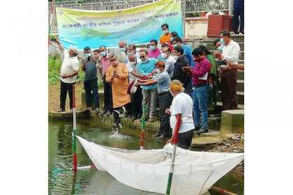 জগন্নাথ হল-ঢাকেশ্বরী মন্দির পুকুরে মাছের পোনা অবমুক্ত