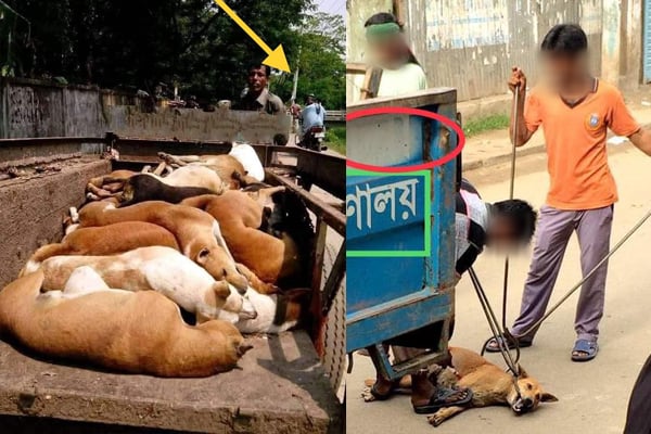 ফেসবুকে ঘুরে বেড়ানো ছবিগুলো বানোয়াট : ডিএসসিসি