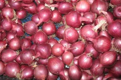 খাতুনগঞ্জে পিয়াজের দাম স্থির, আরও কমবে দাম
