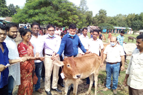 মধুপুরে অনগ্রসর নৃ-গোষ্ঠীর মাঝে গরু বিতরণ