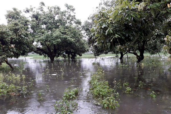 বিরলে পানি প্রবাহে প্রতিবন্ধকতা, ফসলি জমি নষ্ট