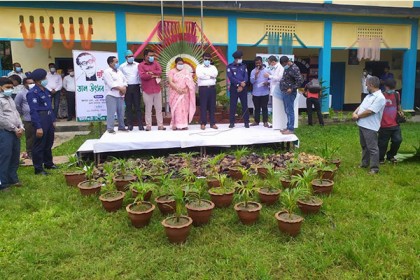 তালবীজ বপন বাড়াতে বরিশালে ‘তাল উৎসব’