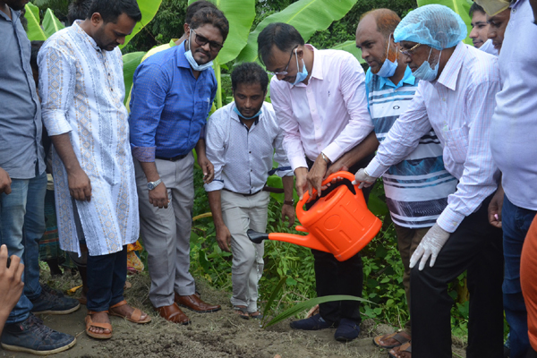 নোয়াখালীতে এক হাজার তাল গাছের চারা রোপন শুরু