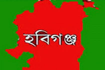 মাধবপুরে পানিতে ডুবে ২ শিশুর মৃত্যু