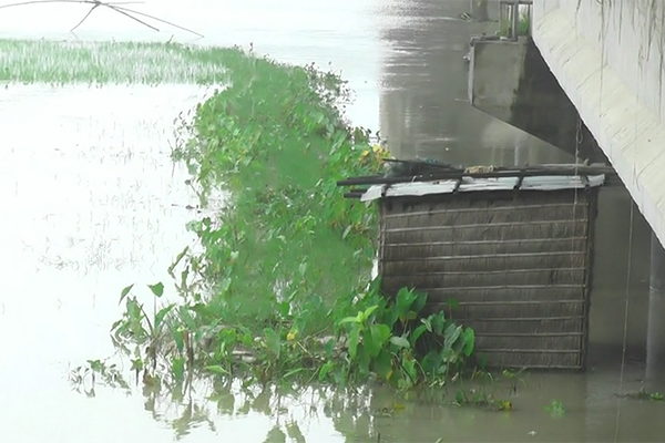 কুড়িগ্রামে নদ-নদীর পানি বৃদ্ধি, ফের বন্যার আশঙ্কা