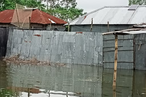 লালমনিরহাটে ফের প্লাবিত নিম্নাঞ্চল 