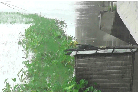 কুড়িগ্রামে ফের নদনদীর পানি বৃদ্ধি 