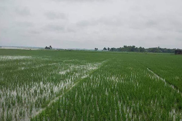 সুনামগঞ্জে সুরমার পানি বিপৎসীমার ৭ সেন্টিমিটার উপরে