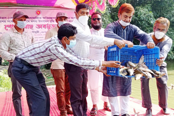 রাজবাড়ীর বালিয়াকান্দিতে মাছের পোনা অবমুক্তকরণ