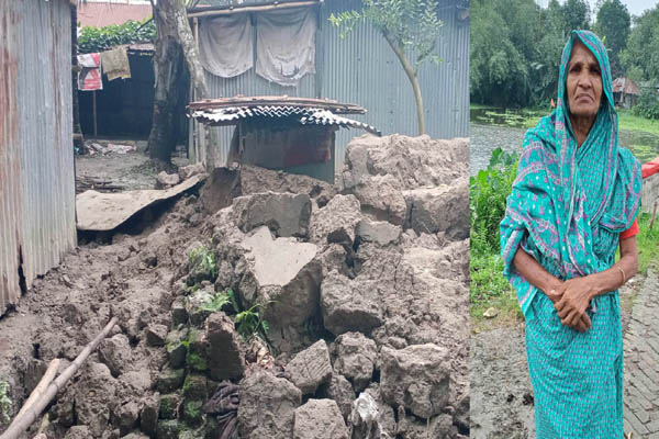 বগুড়ায় বৃষ্টিতে ভেঙে গেছে বৃদ্ধার ঘর