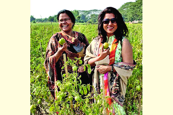 টিভি উপস্থাপিকা হাসনা হেনা এখন খুলনায় সফল খামারি