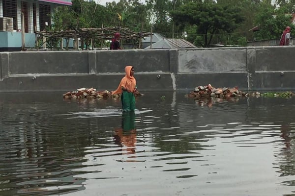 বন্যা ও ভাঙ্গনে বিপর্যস্ত যমুনা পাড়ের মানুষ