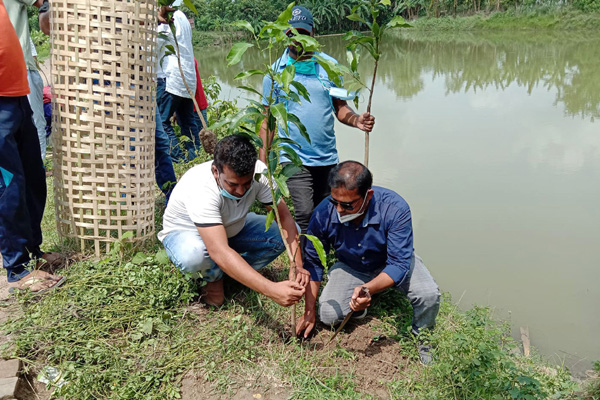 মাগুরায় জেলা যুবলীগের বৃক্ষরোপণ