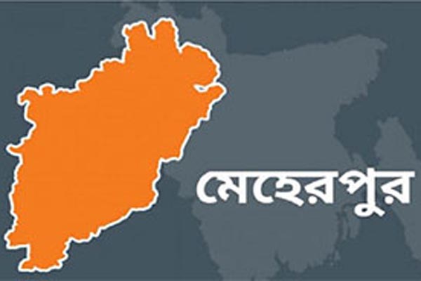 গাংনী উপজেলা পরিষদের সমন্বয় সভা বর্জন করলেন ইউপি চেয়ারম্যানরা