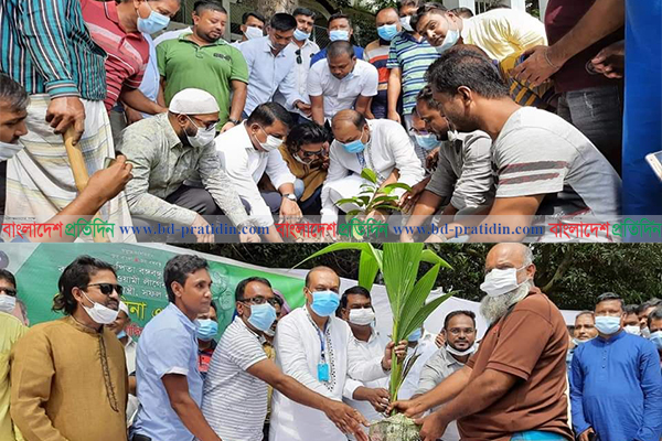 প্রধানমন্ত্রীর জন্মদিন উপলক্ষে গাছের চারা বিতরণ গাজীপুর যুবলীগের