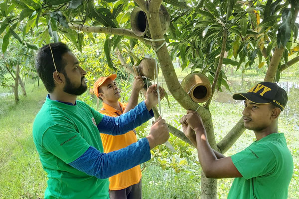 পাখি রক্ষায় গাছে গাছে মাটির হাঁড়ি