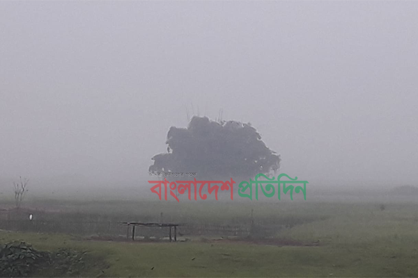 ভোরের ঘন কুয়াশায় ছেয়ে যাচ্ছে পঞ্চগড়