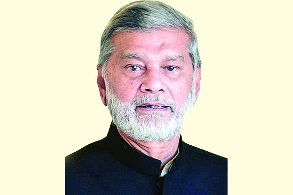আগামী বছর চালু হবে পদ্মা সেতু ও মেট্রোরেল