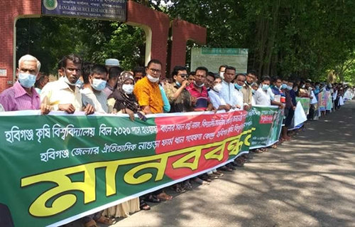 নাগুড়ায় হবিগঞ্জ কৃষি বিশ্ববিদ্যালয় স্থাপনের দাবিতে মানববন্ধন