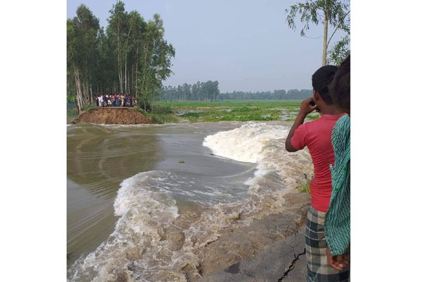 নাটোরে বন্যায় তলিয়ে গেছে ৩ হাজার হেক্টর ফসলি জমি