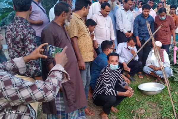 হালুয়াঘাটে ফসলের মাঠে পোকা দমনে আলোক ফাঁদ ও পার্চিং পদ্ধতি 
