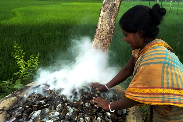 পোড়া ঝিনুকের আয়ে চলে রানীর সংসার 