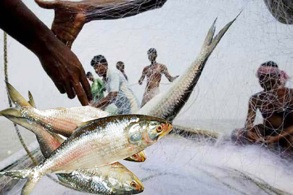 জেলেদের জন্য সাড়ে ১০ হাজার টন চাল বরাদ্দ
