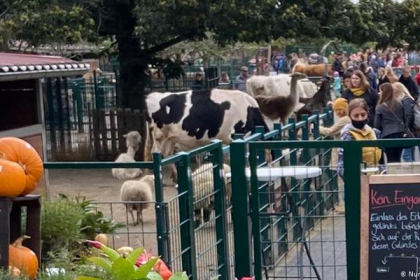 জার্মান শিশুরা কৃষিকাজ শেখে যে খামারে 

