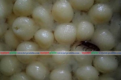 মিষ্টিতে তেলাপোকা   