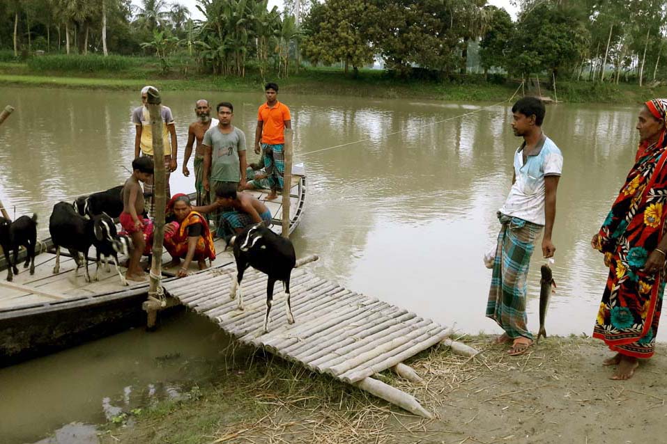 ধুনটের ইছামতি নদীতে ব্রিজ না থাকায় চরম দুর্ভোগ