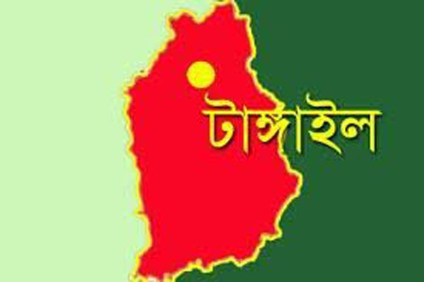 সখীপুরে শতাধিক শিক্ষার্থীর মাঝে সনদ ও উত্তরীয় বিতরণ