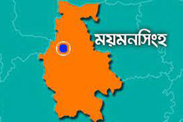 স্ত্রীর চিকিৎসা করাতে গিয়ে লাশ হয়ে ফিরলেন স্বামী