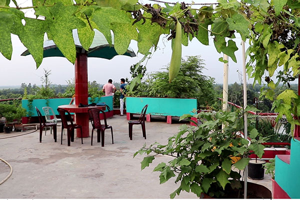 নতুন পদ্ধতিতে 'এমপি পার্কে' ছাদ বাগান