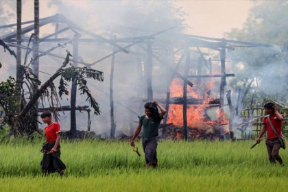 ফের রাখাইনে মিয়ানমারের বর্বরতার প্রমাণ দিল অ্যামনেস্টি