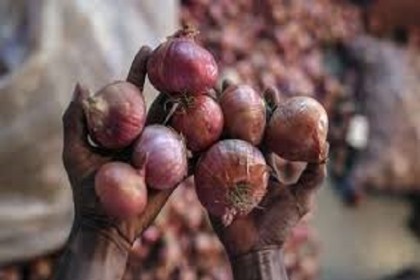 মিয়ানমার থেকে এলো ২২ টন পিঁয়াজ 