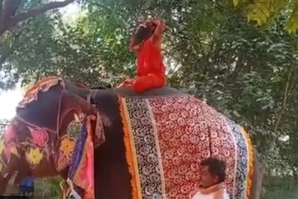 হাতির ওপর ব্যায়াম করতে গিয়ে মারাত্মক আহত রামদেব