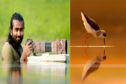 রাজশাহীর হিমেলের ছবি জিতল আন্তর্জাতিক খেতাব